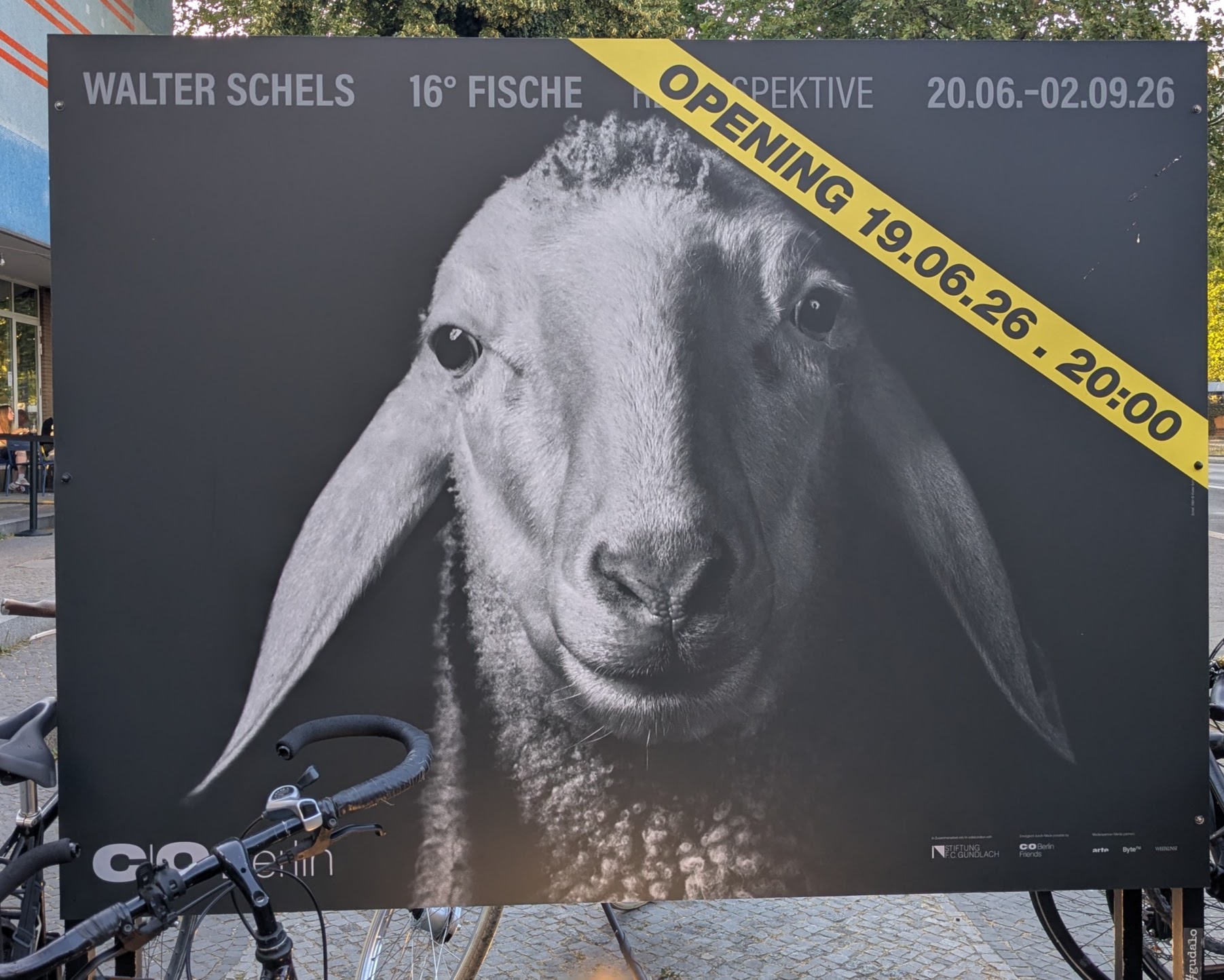 Plakat Walter Schels co Berlin